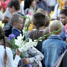 Vyriausybė detalizavo, kaip bus pereinama nuo mokinio prie klasės krepšelio