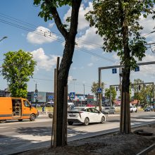 Darbai Savanorių prospekte: ar bus ribojamas eismas?