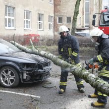 Pajūrio krašte medžiai neatlaikė vėtros