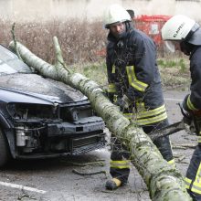 Pajūrio krašte medžiai neatlaikė vėtros