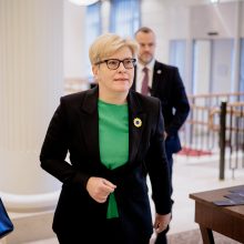 Premjerė su Y. Johansson aptarė ES saugumą ir atsparumą Rusijos grėsmėms