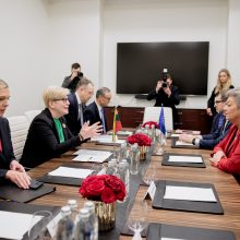 Premjerė su Y. Johansson aptarė ES saugumą ir atsparumą Rusijos grėsmėms
