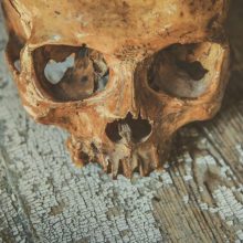 Kauno rajone rasta žmogaus kaukolės dalis