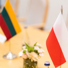 Su nerimu žiūri į konfliktą dėl ambasados Lenkijoje: tai yra pavojinga Lietuvai