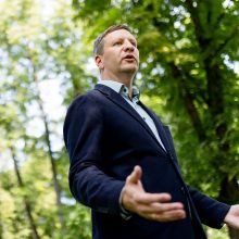 Kultūros ministras: sprendimą dėl medžių kirtimo Naujamiestyje dar galima peržiūrėti 