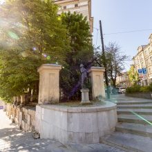 V. Benkunskas žada atvykti į protestą dėl medžių kirtimo: tikisi, kad verslas persigalvos