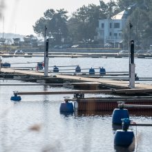 Neptūno įlankos renesansas: Kauno marių pakrantėje ryškėja buriavimo mokyklos kontūrai