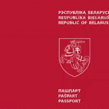 Gali atsirasti antras pasas, ant kurio – Vytis: už ar prieš?