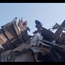 M. Kvedaravičiaus filmo „Mariupolis 2“ premjera bus rodoma Kanų kino festivalyje
