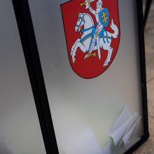 Kupiškio rajono mero rinkimuose balsavo 46 proc. rinkėjų, fiksuotas rekordinis aktyvumas