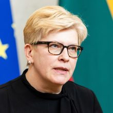 Premjerė: Vyriausybė gali papildomai skolintis gynybai ir netikslinant biudžeto