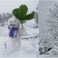 Įvardijo, kur prisnigo gausiausiai: pridarė ir bėdos