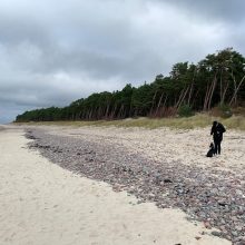 I. Jankauskaitė rūpinasi likimo nuskriaustais šunimis