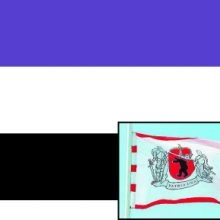 Trispalvė: kažin ar nors vienas žemaitis yra regėjęs estiškos vėliavos spalvas primenantį derinį – vienas kretingiškis pareiškė, kad tai yra istorinė Žemaitijos vėliava.