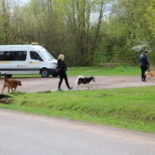 Gyvūnų prieglaudos namuose – netikėti svečiai