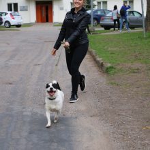 Gyvūnų prieglaudos namuose – netikėti svečiai