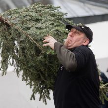 Eglučių svaidymo čempionatas Vokietijoje: dalyvauti nori vis daugiau entuziastų