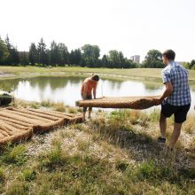 Žardininkuose – naujas traukos objektas