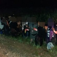 Pasieniečiai į Lietuvą draudžiamose vietose neleido patekti beveik šimtui migrantų