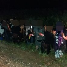 Banga neslopsta: pasieniečiai sulaikė dar 144 neteisėtus migrantus