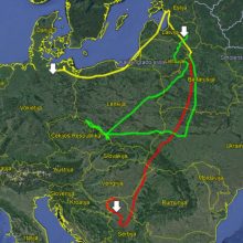 Seka garnių kelionę namo: atskleistos įdomios paukščių gyvenimo detalės