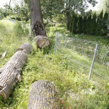 Netvarka bado akis klaipėdiečiams: kas išpjovė medžius kapinėse – mįslė