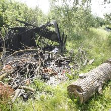 Netvarka bado akis klaipėdiečiams: kas išpjovė medžius kapinėse – mįslė