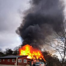 Liepsnose pražuvo veiviržėniškių sodyba: senolė ir sūnus liko be namų