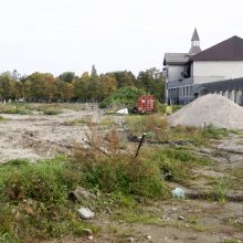 Sakurų parkas laukia darbų starto