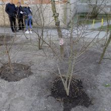 Dėl valstybinėje žemėje šeimininkaujančio kaimyno – nesutarimai