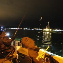 Stintmetis: gaudyti stintų į Smiltynę metų sandūroje daugiausia vyko kitų rajonų gyventojai.