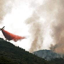Miško gaisrai Ispanijos rytuose: evakuota apie 3 tūkstančiai žmonių
