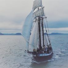 Transportas: „Opal“ – laivas kuriuo ekspedicijos dalyviai savaitę keliavo iš Islandijos miestelio šiaurėje Husaviko į sostinę Reikjaviką.