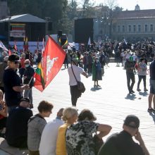 I. Šimonytė sako esanti patenkinta A. Bilotaitės ir A. Dulkio darbu