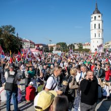 I. Šimonytė sako esanti patenkinta A. Bilotaitės ir A. Dulkio darbu