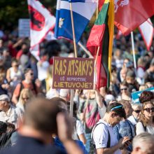 I. Šimonytė sako esanti patenkinta A. Bilotaitės ir A. Dulkio darbu