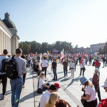 I. Šimonytė sako esanti patenkinta A. Bilotaitės ir A. Dulkio darbu