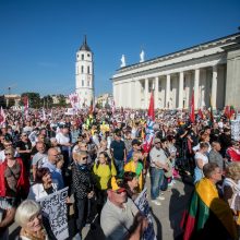 I. Šimonytė sako esanti patenkinta A. Bilotaitės ir A. Dulkio darbu