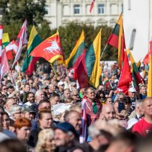 I. Šimonytė sako esanti patenkinta A. Bilotaitės ir A. Dulkio darbu