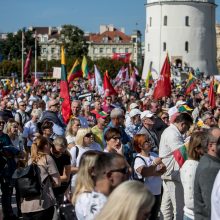 I. Šimonytė sako esanti patenkinta A. Bilotaitės ir A. Dulkio darbu