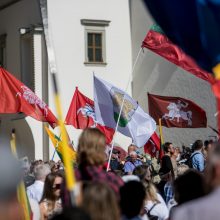 I. Šimonytė sako esanti patenkinta A. Bilotaitės ir A. Dulkio darbu