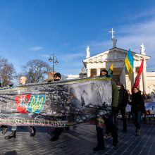 Apie 200 žmonių žygiavo tautininkų eitynėse Vilniuje