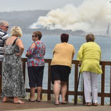 Australijos krūmynų gaisrai paveikė tris ketvirtadalius gyventojų