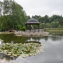 I. Juciūtę-Čibirkienę užklupo netikėta liga: moteris atsidūrė ligoninėje