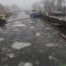 Dėl teršalų Danėje Klaipėda paskelbė ekstremalią situaciją