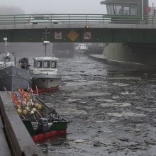 Dėl teršalų Danėje Klaipėda paskelbė ekstremalią situaciją