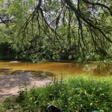 Šešiolika dienų „Camino Lituano“: eičiau dar kartą!