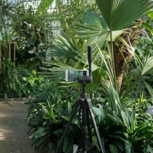 Botanikos sode karantino metu – eksperimentai ir virtualios transliacijos