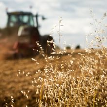 Lietuvoje siūloma uždrausti prieštaringai vertinamą herbicidą – glifosatą