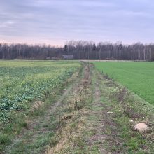 Keblu: paskutinę H.Daktaro slapstymosi vietą Lietuvoje nėra paprasta surasti net pasitelkus išmaniąsias programėles ir žemėlapius.